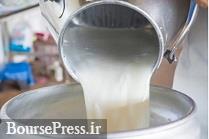 تخلف دامداران در افزایش۱۰ درصدی توزیع شیر و کاهش صادرات 