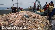 تایید ماهیگیری چینی‌‌ها در آب های عمیق ایران 