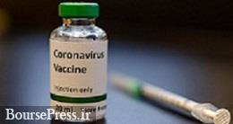 زمان اولین نمونه آزمایش انسانی واکسن کرونا بر روی ۲۰ درصد جمعیت