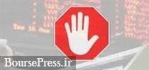توقف نماد ۱۱ شرکت بورسی و فرابورسی و تعلیق ۱۳ روزه دو شرکت 