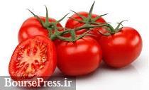 صادرات رب گوجه فرنگی دوباره آزاد شد + شرایط