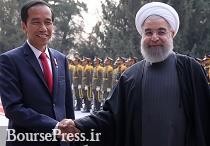 علاقه مندی اندونزی برای سرمایه گذاری در بخش نفت و برق ایران 
