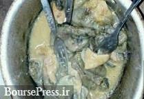 حواشی ادعای خوردن گوشت گربه توسط برخی مردمان سیستان‌ و بلوچستان