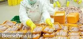 صادرات محدود و ۴۰۰ تنی مرغ زنده تا ۱۵ خرداد آزاد شد
