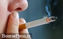 ایران ارزان‌ترین کشور دنیا برای سیگاری‌ها/ آمار پسران و دختران سیگاری
