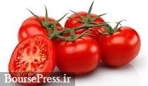 عوارض صادرات گوجه‌ فرنگی تا اطلاع ثانوی ۵۵ درصد تعیین شد