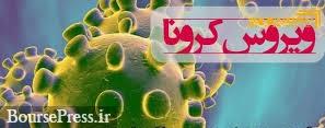 شهردار منطقه ۱۳ تهران به ویروس کرونا مبتلا شد