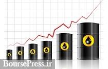 تصمیم اوپک منجر به افزایش قیمت نفت شد
