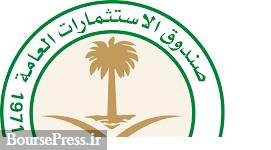 عربستان درصدد خرید سهام دو شرکت حاضر در بورس مصر برآمد 