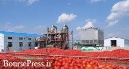 صادرات بشکه های ۲۳۰ کیلویی رب گوجه تا پایان مهر بلامانع شد
