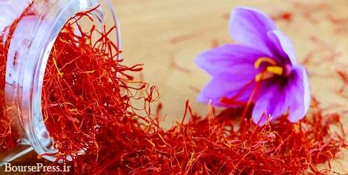 عرضه امروز ۱۵۰۰ کیلو زعفران در بورس کالا با قیمت پایه ۹۴ میلیون تومانی 