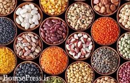 وزارت صنعت صادرات ۱۸ نوع ماده غذایی را ممنوع کرد + فهرست 
