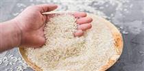 هشدار به مصرف کنندگان برنج هندی با رشد ۱۵۰۰ درصدی ماده سمی ! 