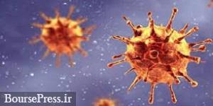 ویروس کرونا ۷ ماه قبل از اعلام چین شیوع یافته بود