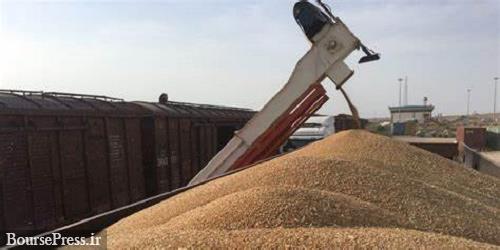 دولت با واردات گندم توسط بخش خصوصی موافقت کرد