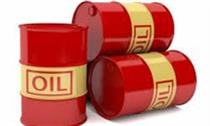احتمال اقدام اعضای اوپک بدون عربستان برای تقویت قیمت نفت