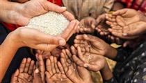 پیش‌بینی فاجعه جهانی غذا در آینده نزدیک و نا اطمینانی ۱.۶ میلیارد نفر